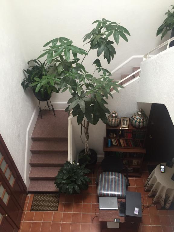 Casa Maria Elena Condesa (Adults Only) Hotell Mexico City Exteriör bild