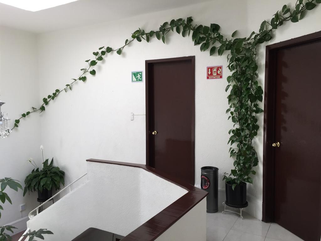 Casa Maria Elena Condesa (Adults Only) Hotell Mexico City Exteriör bild