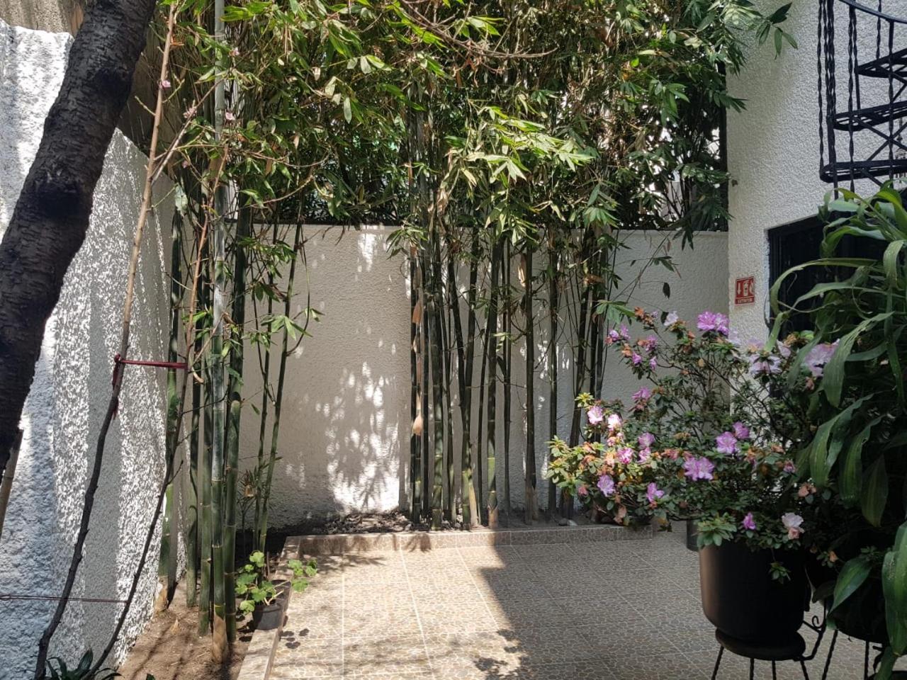 Casa Maria Elena Condesa (Adults Only) Hotell Mexico City Exteriör bild
